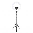 Осветитель кольцевой Falcon Eyes BeautyLight 480LS LED со стойкой