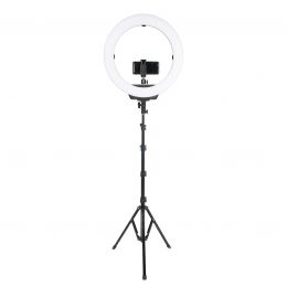 Осветитель кольцевой Falcon Eyes BeautyLight 480LS LED со стойкой
