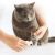 Триммер для когтей домашних животных Xiaomi Pawbby Pet Electric Nail Sharpener MG-NG001 Белый