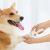 Триммер для когтей домашних животных Xiaomi Pawbby Pet Electric Nail Sharpener MG-NG001 Белый