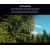 Объектив Sirui Jupiter 24mm T2 Full-frame Macro EF Mount