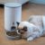 Умная кормушка Xiaomi Petoneer Mini Smart Pet 2.6L
