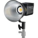 Осветитель Nanlite Forza 60b