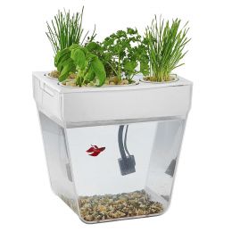 Акваферма Aquafarm