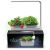 Компактный смарт-сад - iGarden LED с подсветкой