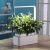 Компактный смарт-сад - iGarden LED с подсветкой