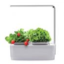 Компактный смарт-сад - iGarden LED с подсветкой