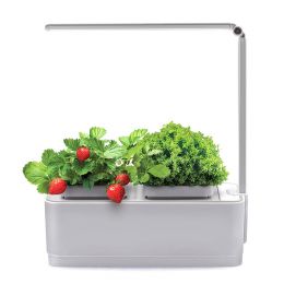 Компактный смарт-сад - iGarden LED с подсветкой