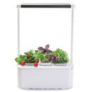 Компактный смарт-сад iGarden PRO с подсветкой