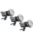 Комплект осветителей SmallRig RC220D (3шт) 4027
