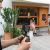 Follow Focus Accsoon F-C01