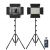 Комплект осветителей GVM 880RS (2шт)
