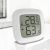 Метеостанция Whale Wake-up Temperature And Humidity Meter