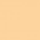 Пластиковый фон 100x200 см. Fujimi FJS-PVCO1020 (Персиковый)