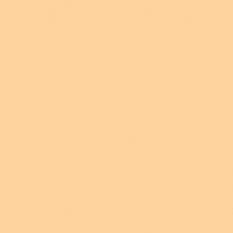 Пластиковый фон 100x200 см. Fujimi FJS-PVCO1020 (Персиковый)