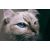 Проектор TouYinger H6 Pro 1080P