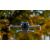 Комплект светофильтров Freewell Soft Edge для DJI Mini 4 Pro (GND0.9, GND1.2)