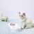 Миска для животных Petkit Adjustable Double Bowl 15° Белая