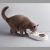 Миска для животных Petkit Adjustable Double Bowl 15° Белая