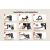 Телесуфлер SmallRig 3646 Multifunctional Teleprompter