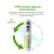 Комплект аккумуляторных батарей EBL AAA 1100mAh (4шт)