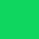 Бумажный фотофон Polaroid Chromakey Green Хромакей 2.72x11м.