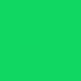 Бумажный фотофон Polaroid Chromakey Green Хромакей 2.72x11м.
