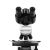 Микроскоп биологический Микромед 2 (3 LED inf.)