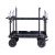 Кинотележка GreenBean Cart 250