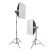 Комплект студийного оборудования Falcon Eyes KeyLight III 2200D SB KIT