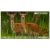 Прицел цифровой Veber DigitalHunt R44X6-48 ночной