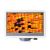 Микроскоп цифровой Levenhuk D95L LCD