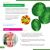 Микроскоп Levenhuk Discovery Micro с книгой