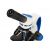Микроскоп Levenhuk Discovery Pico с книгой