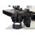 Микроскоп цифровой Levenhuk Discovery Atto Polar с книгой