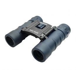 Бинокль Levenhuk Discovery Gator 12x25