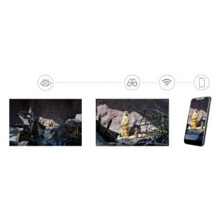 Фотомонокуляр цифровой Levenhuk Kelvin Snap ED 8x42