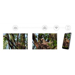 Фотомонокуляр цифровой Levenhuk Kelvin Snap 8x25