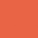 Фон бумажный Falcon Eyes BackDrop PRO 2.72x11 Bright Orange (39)