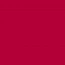 Фон бумажный Falcon Eyes BackDrop PRO 2.72x11 Flame (27)