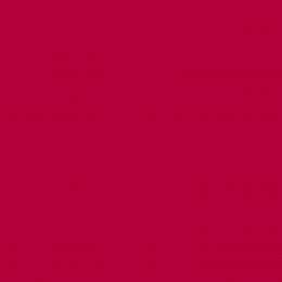 Фон бумажный Falcon Eyes BackDrop PRO 2.72x11 Flame (27)
