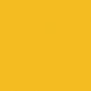 Фон бумажный Falcon Eyes BackDrop PRO 2.72x11 Yellow-Orange (35)