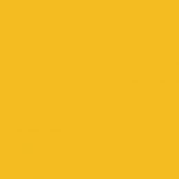 Фон бумажный Falcon Eyes BackDrop PRO 2.72x11 Yellow-Orange (35)