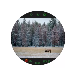 Прицел цифровой Veber DigitalHunt R25X4-32 ночной