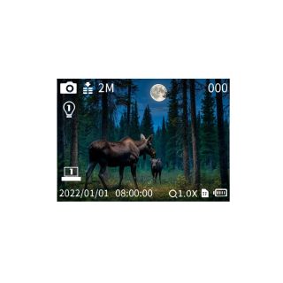 Монокуляр ночного видения Veber DigiView NM-02 цифровой