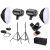 Комплект импульсного света Jinbei D250 KIT 2