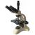 Микроскоп Levenhuk AF2 Trino 40x&ndash;1000x