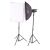 Комплект импульсного света FST E-250 Softbox Kit