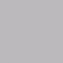 Бумажный фон Polaroid Light Grey Светло-серый 2,72x11 м.