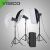 Комплект импульсного света Visico VL PLUS 150 Valued kit с сумкой